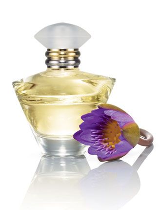 Journeu Eau de parfum